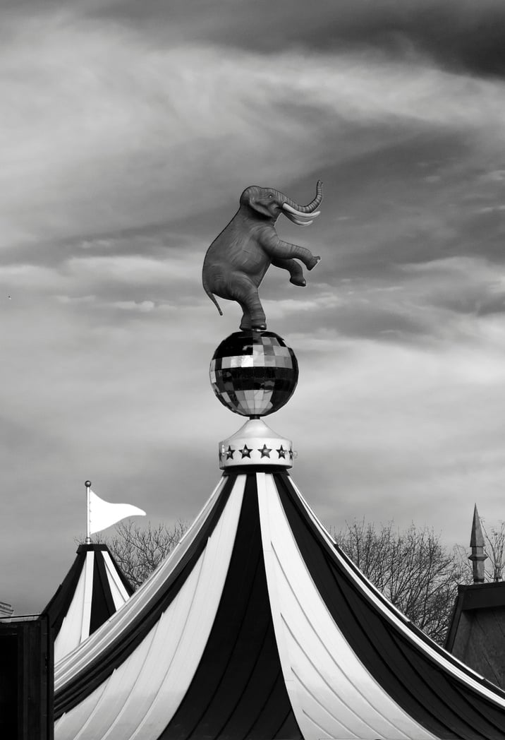 Elephant statue on circus big top